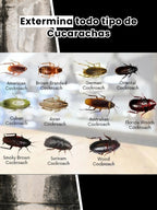 Quick Catch™: Cebo 100% Efectivo para Exterminar Cucarachas