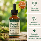 LYMPHATIC - DRENADOR LINFATIC
